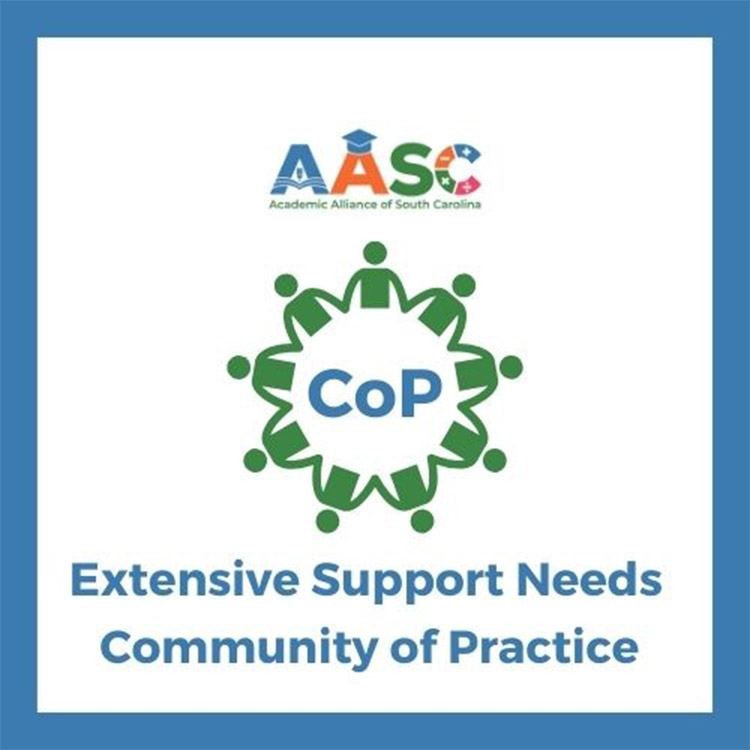 Support needs COP Graphic