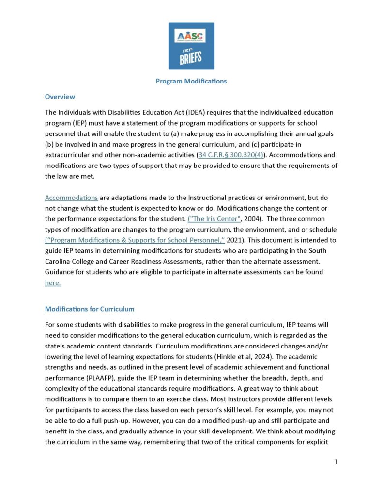 Program Modifications IEP Brief Page